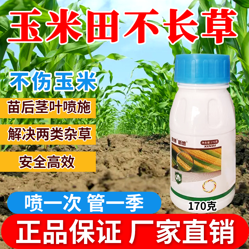 玉米苗后专用不长草厂家直销正品保障安全高效不伤玉米