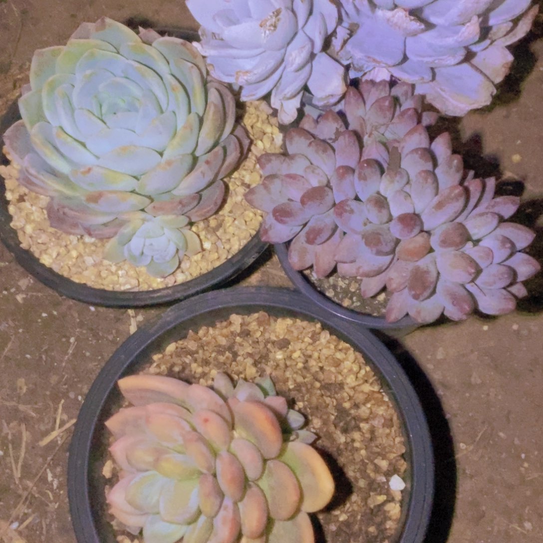 缘***箱拍一单包邮一单