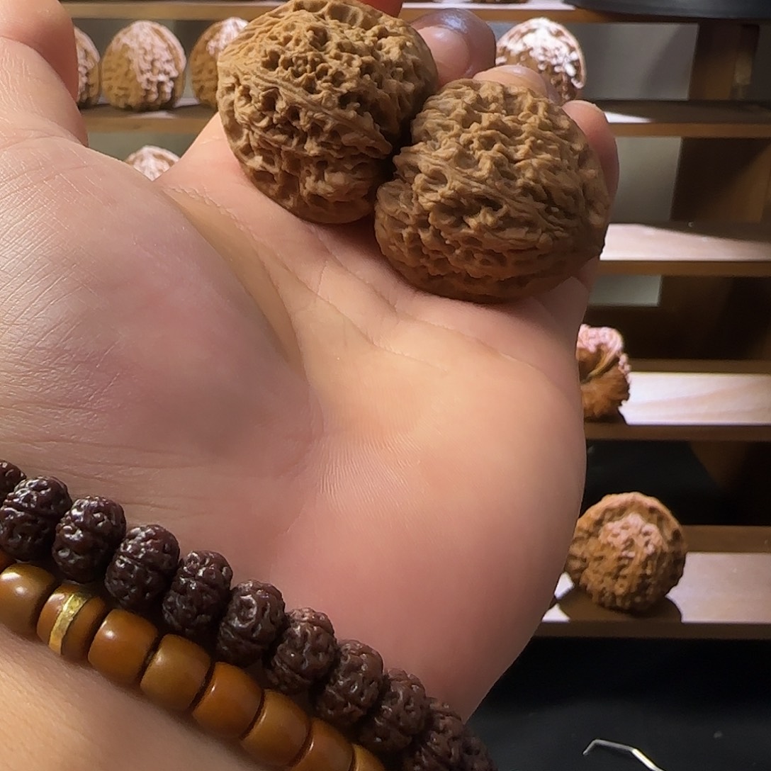 37南疆石三角全品