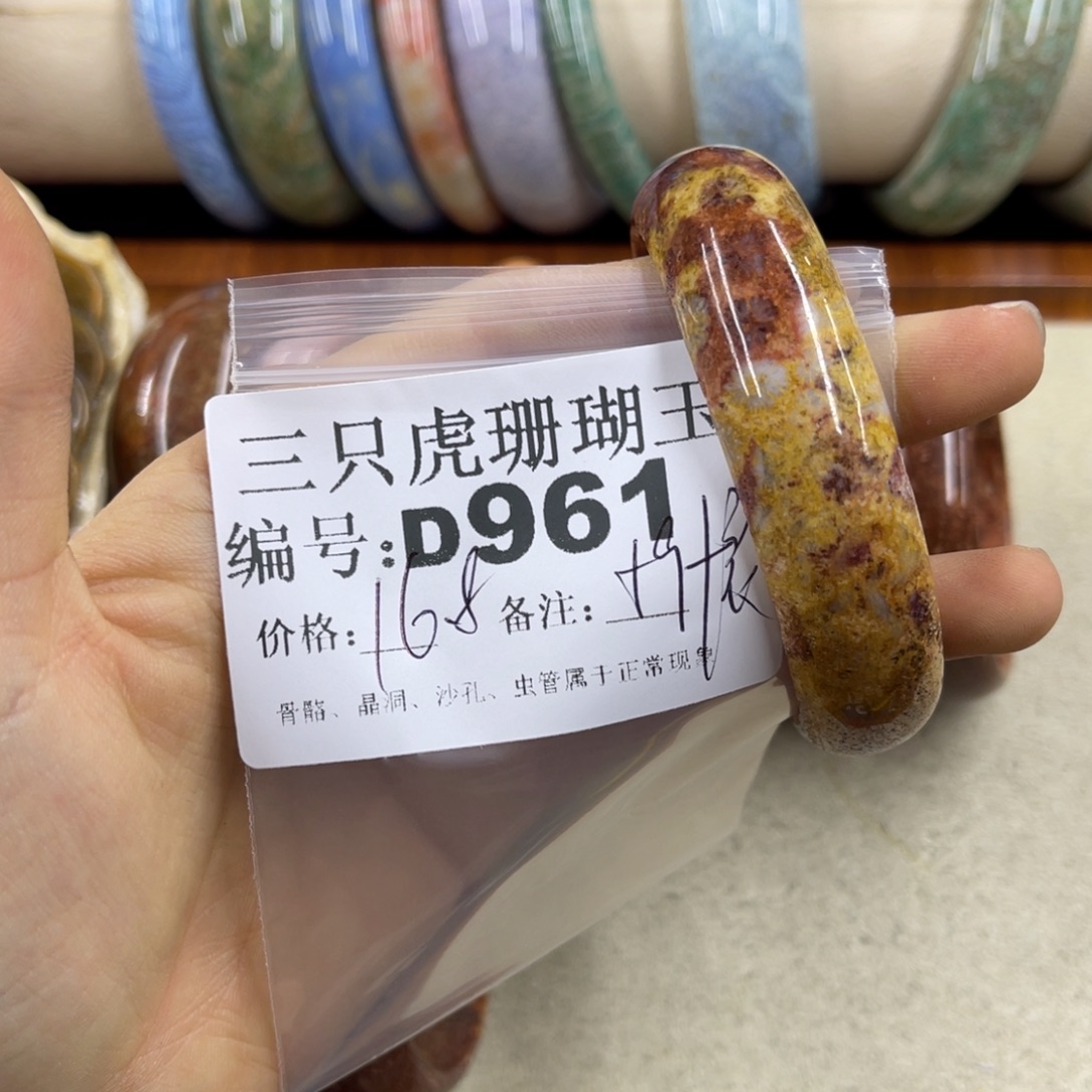 捕***鱼硅化珊瑚（珊瑚玉）未镶嵌h