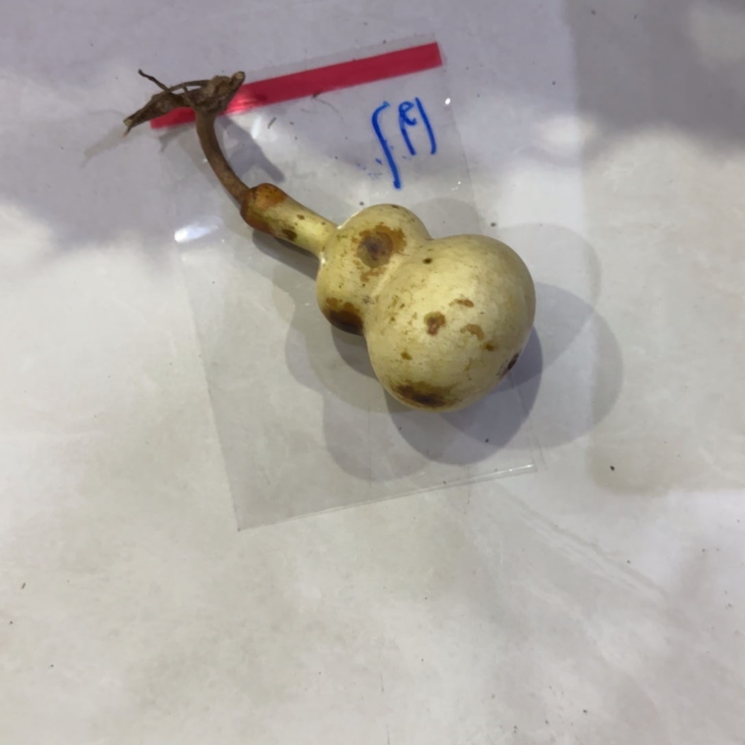 ****单葫芦乐乐利润摸秃咯哦哦乐乐