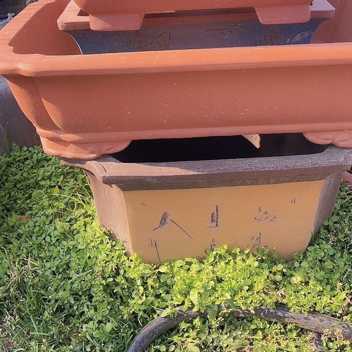 用****5宜兴紫砂长方二号