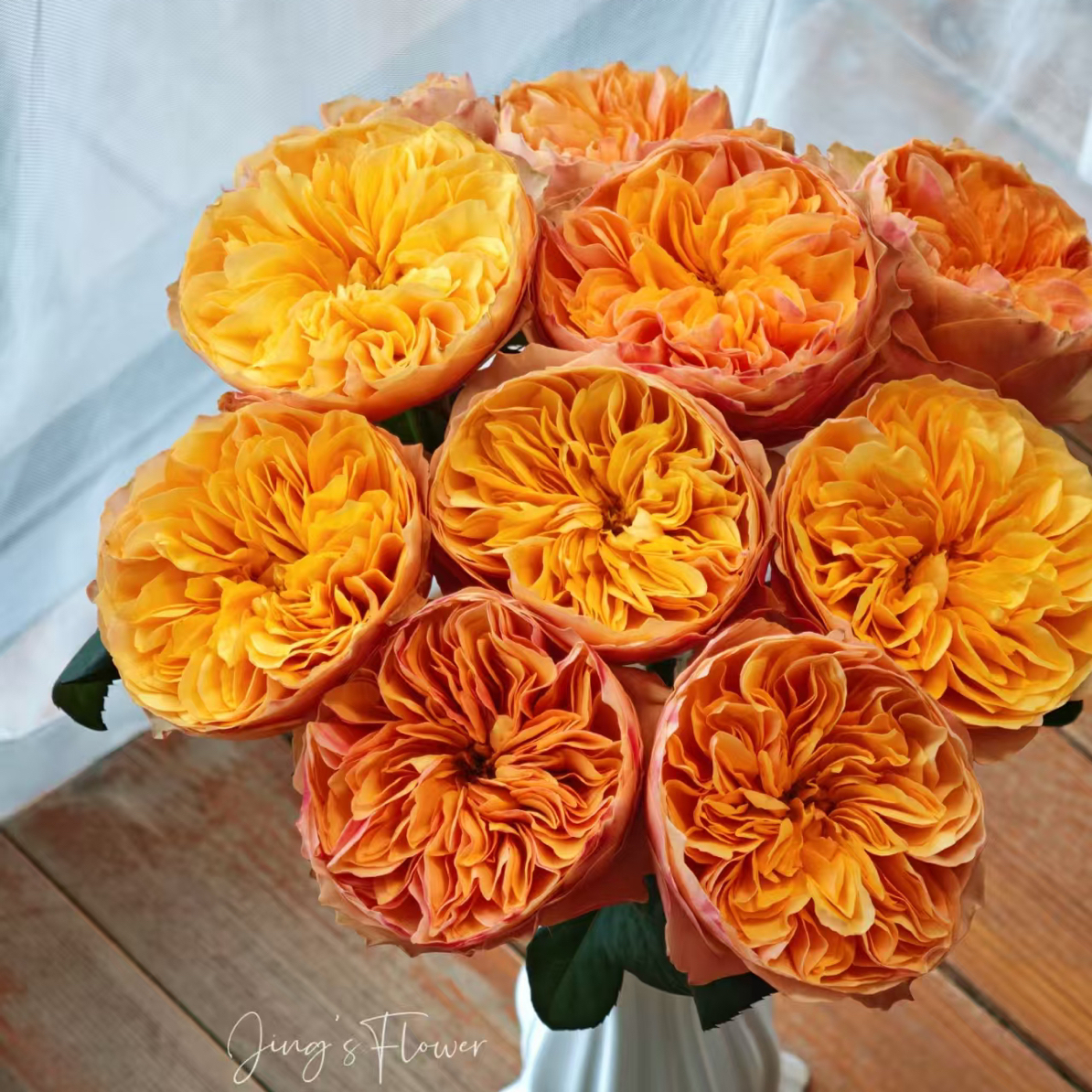 （绿光玫瑰）彩-阿拉伯10支！三件顺丰空运20%不售后