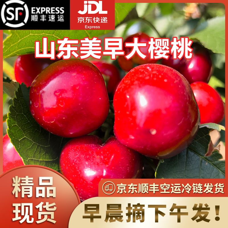 【顺丰京东空运】山东美早大樱桃2-5斤J-4J新鲜当季水果 内附果径卡