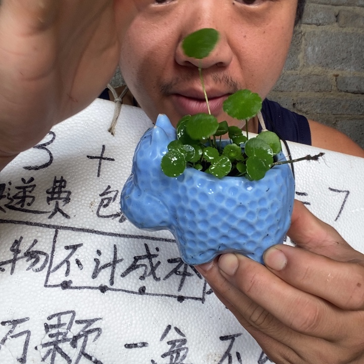 退款拉黑一物一拍7