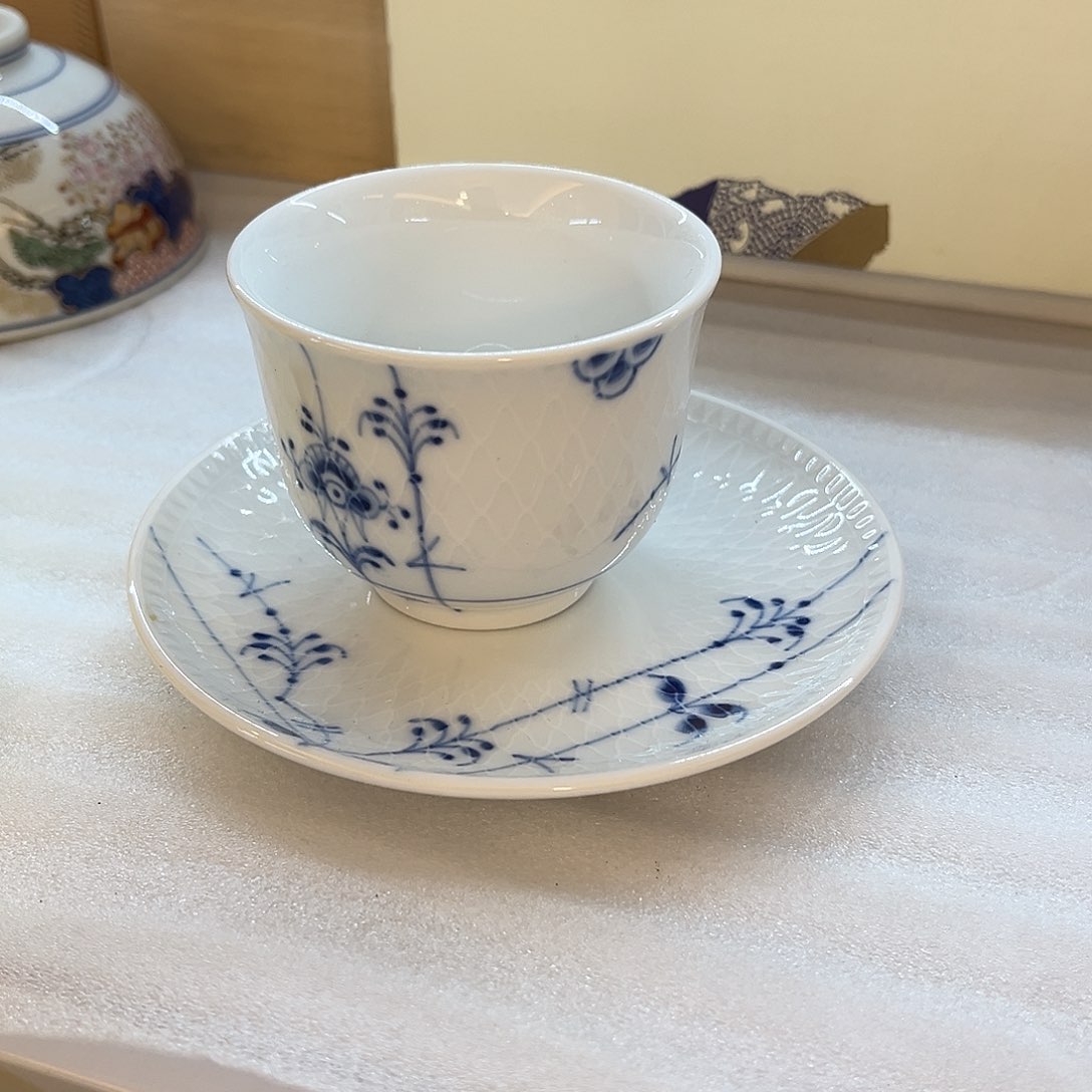 盖碗在家门口看到的小猫和我