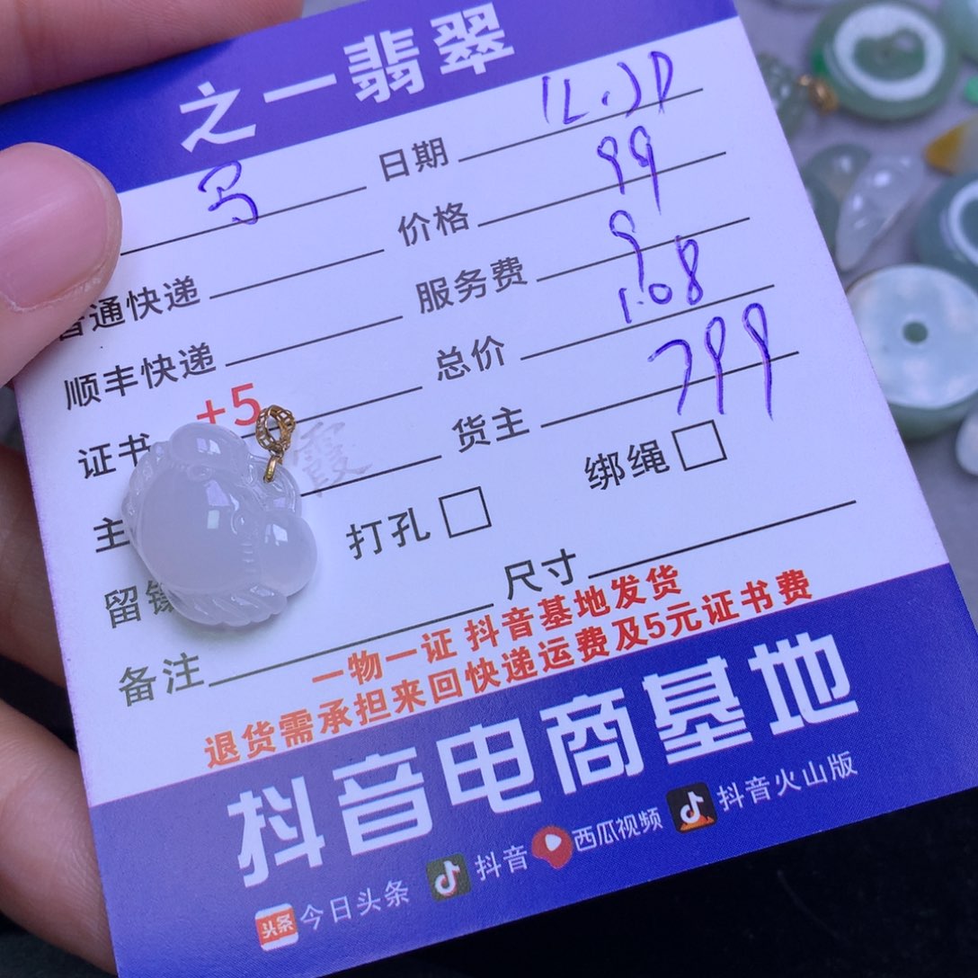 颈饰未镶嵌翡翠鮑****饰