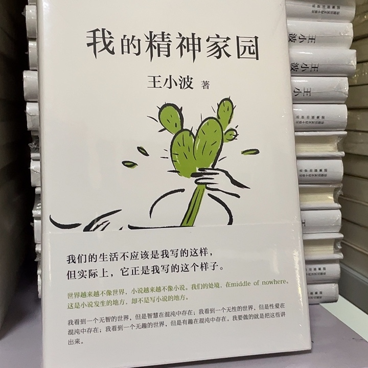 我的精神家园 精装带塑封