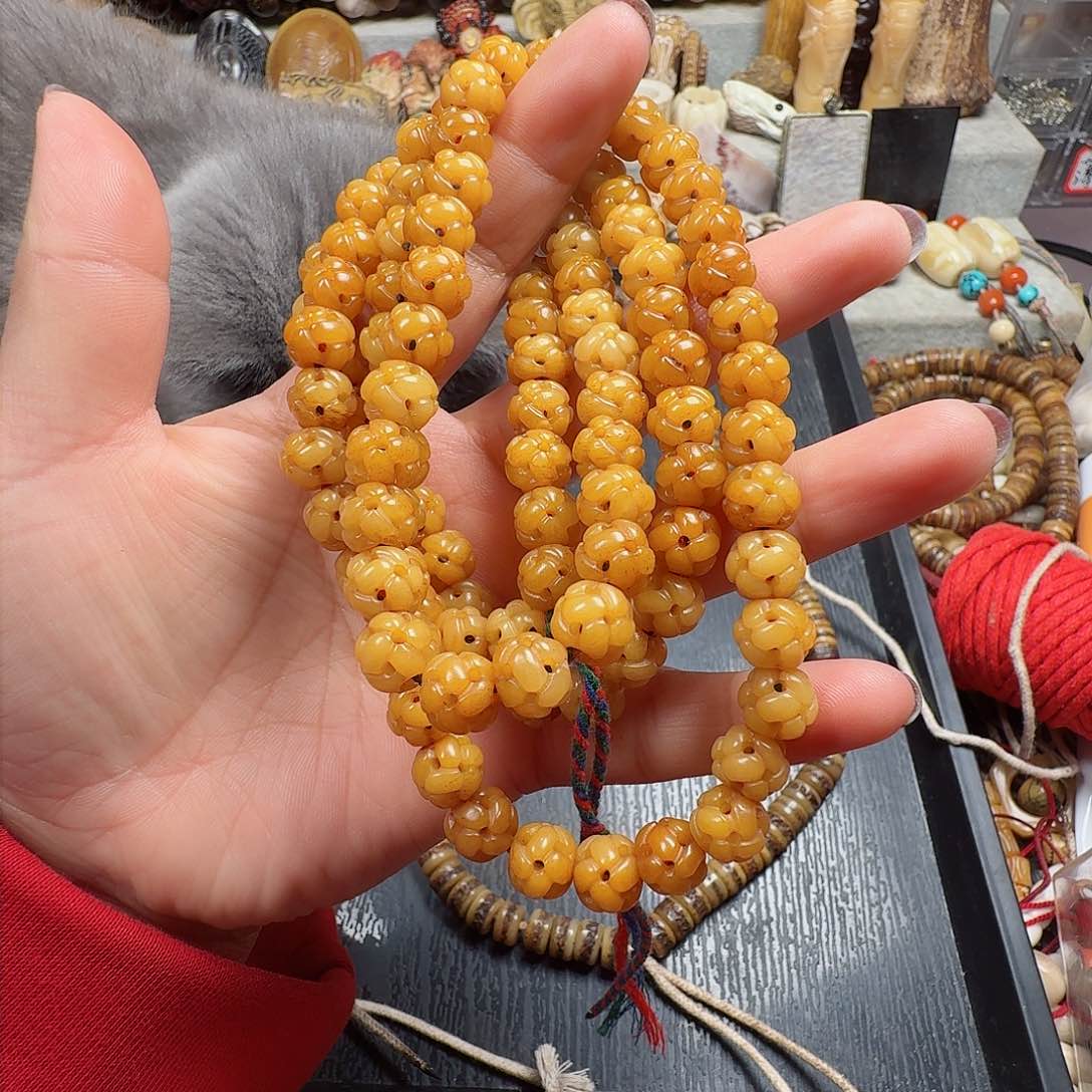 牛骨其他0000000000129