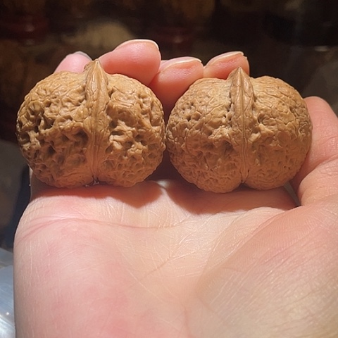 文玩核桃把件吞金兽带彩40