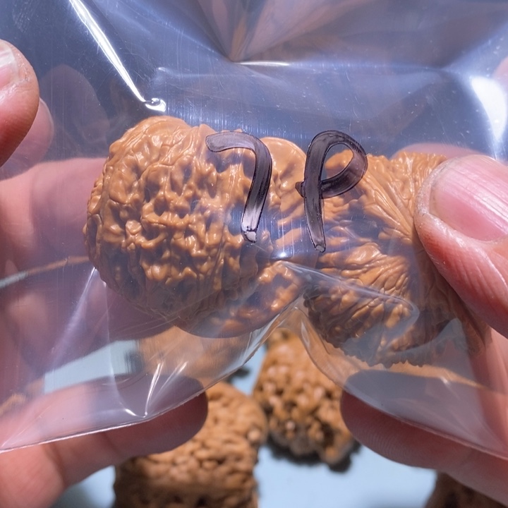 文玩核桃把件79的的一
