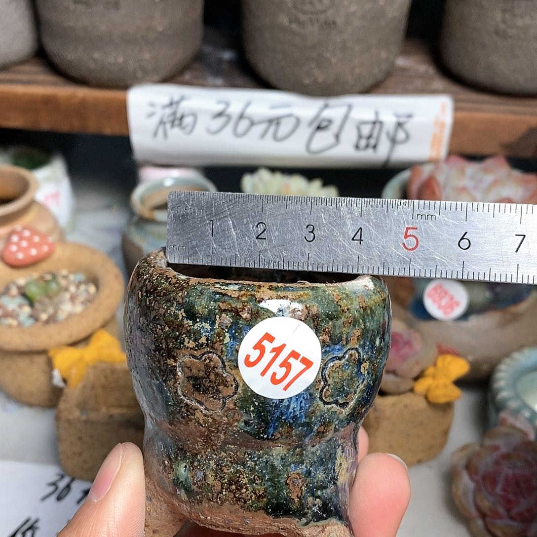 红陶拍5送一个小