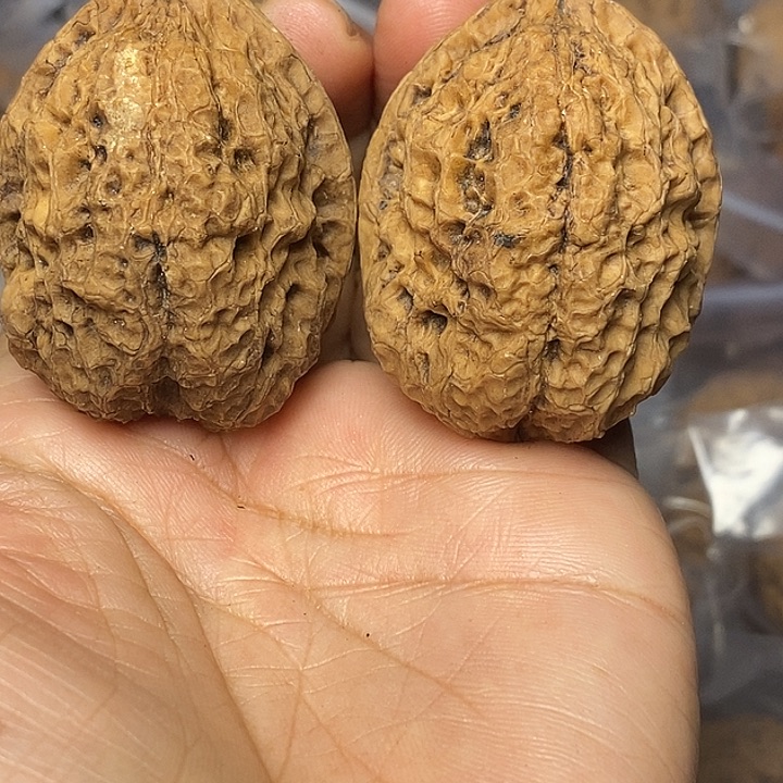 文玩核桃把件云南铁核桃40