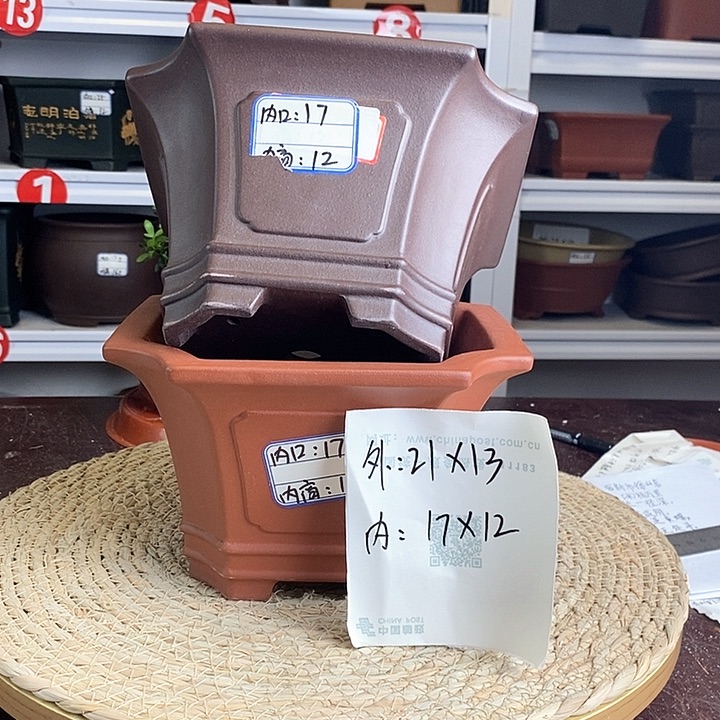 紫砂花盆你是不是在