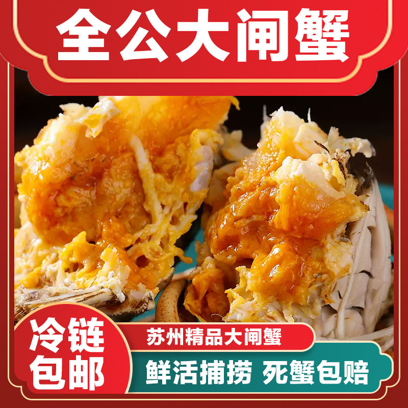【现货全公蟹】精挑大闸蟹3两4两5两4只/6只/8只