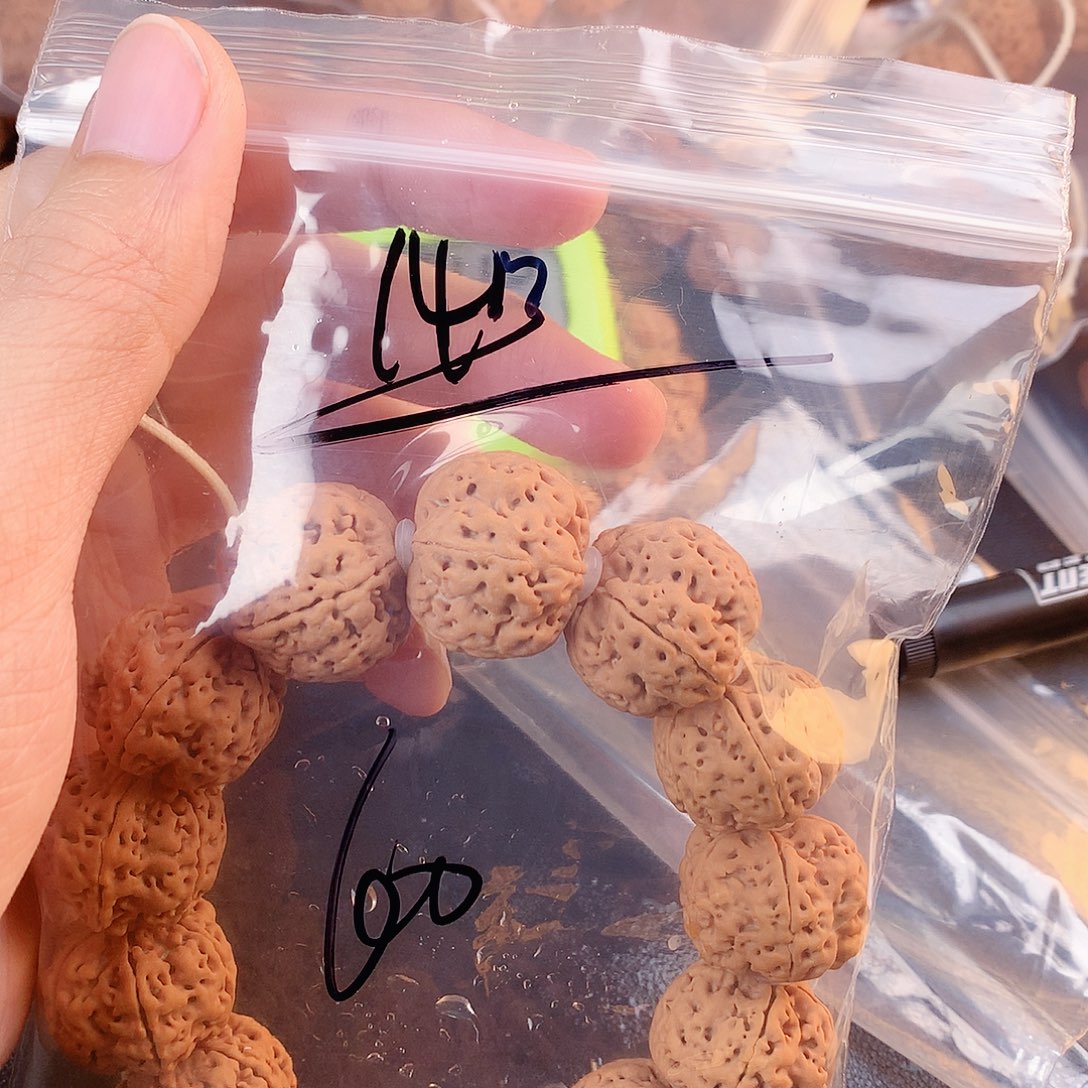 螺****吊坠金刚菩提14————-