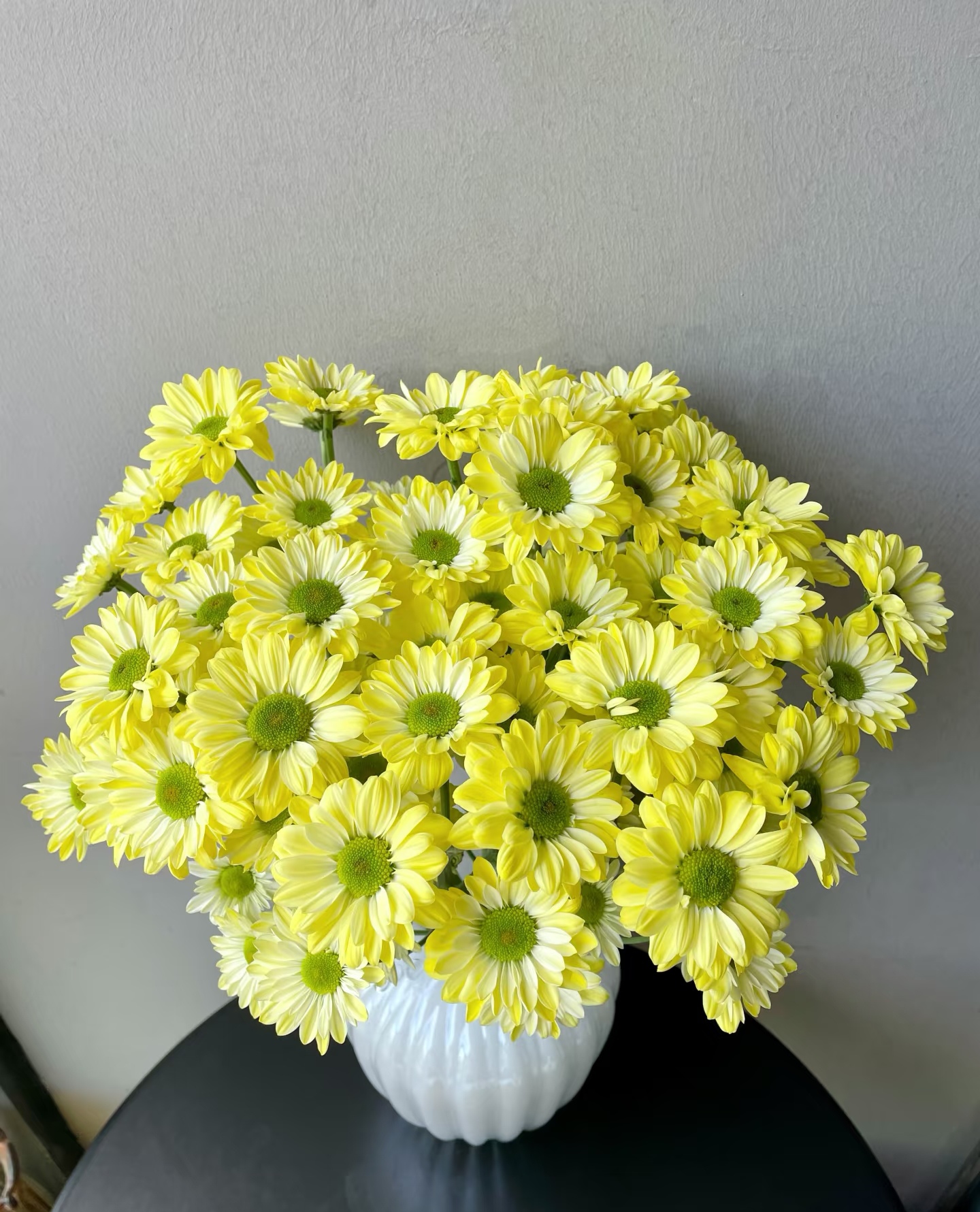 安吉拉（奶油黄）10枝 全店任意5单一个运费