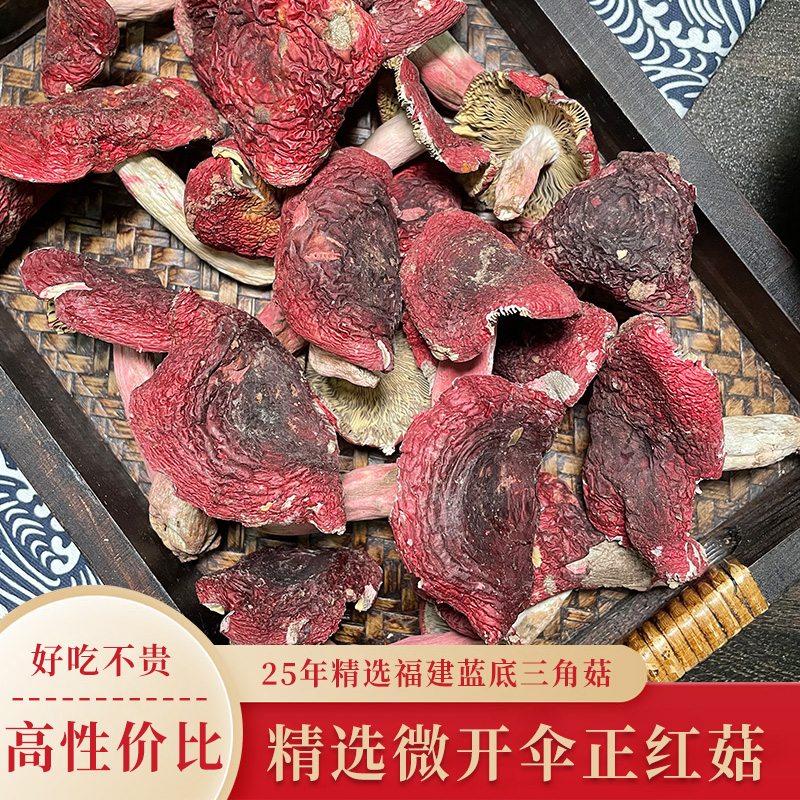 （微开伞红菇）福建三角红菇干货新货福建正宗三角大红菇月子菇蘑菇