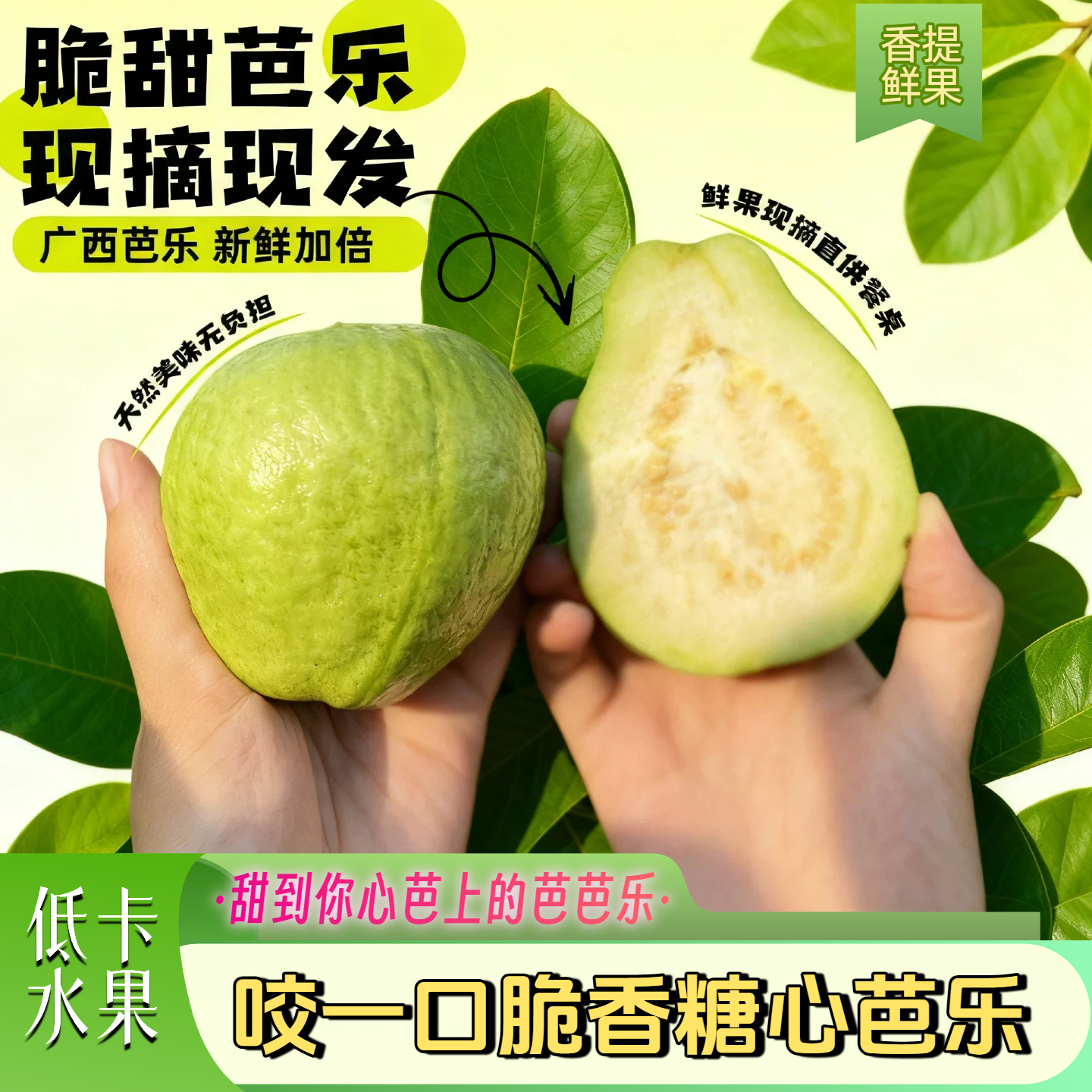 【脆爽香甜芭乐】广西产地高山芭乐番石榴高维C低热量水果当季