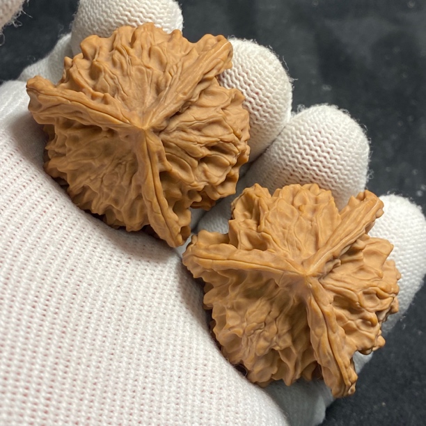 40天然全品盘山三棱大奔核桃（0861）实物实拍。边40-39-38高34