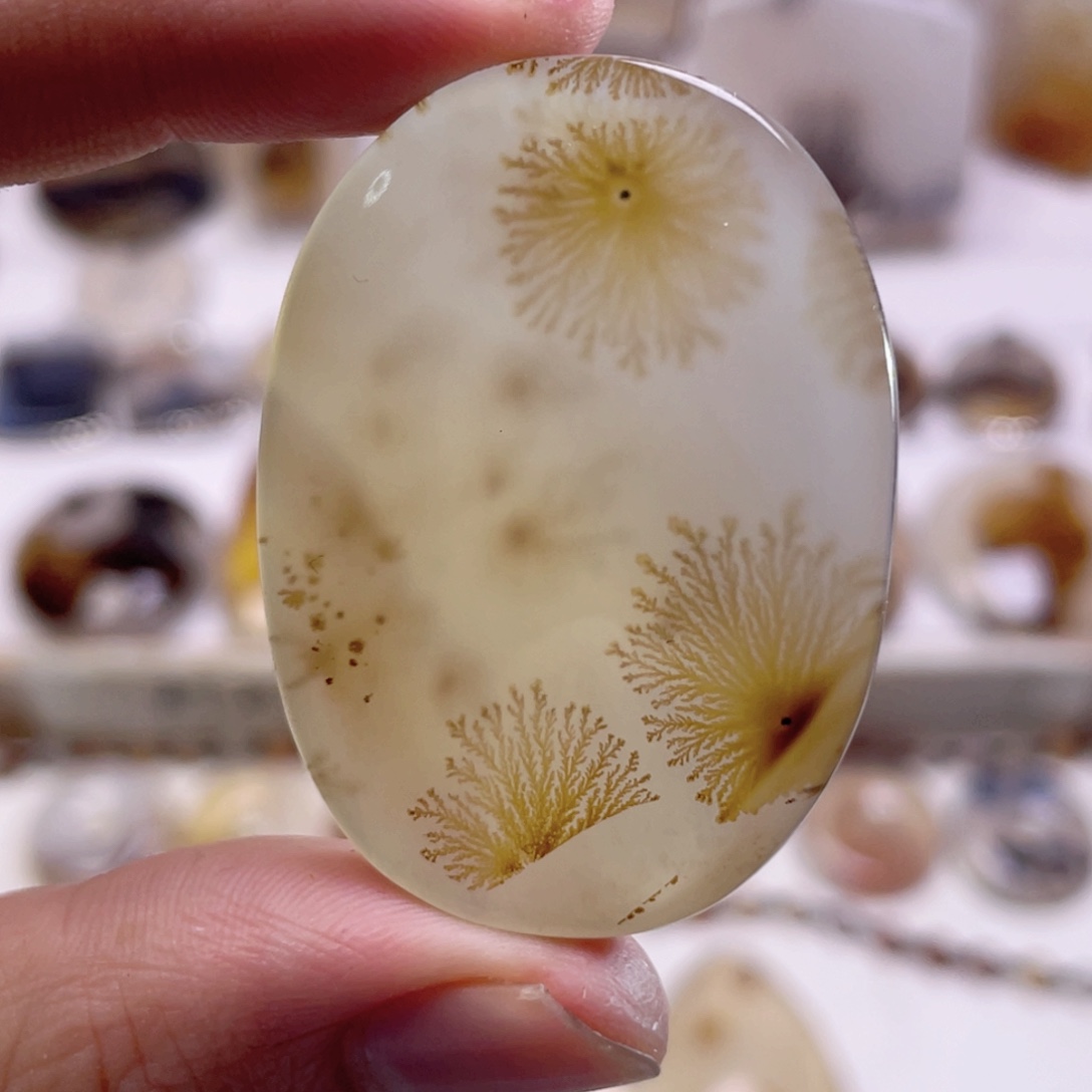 玛瑙/玉髓未镶嵌珠宝奇石