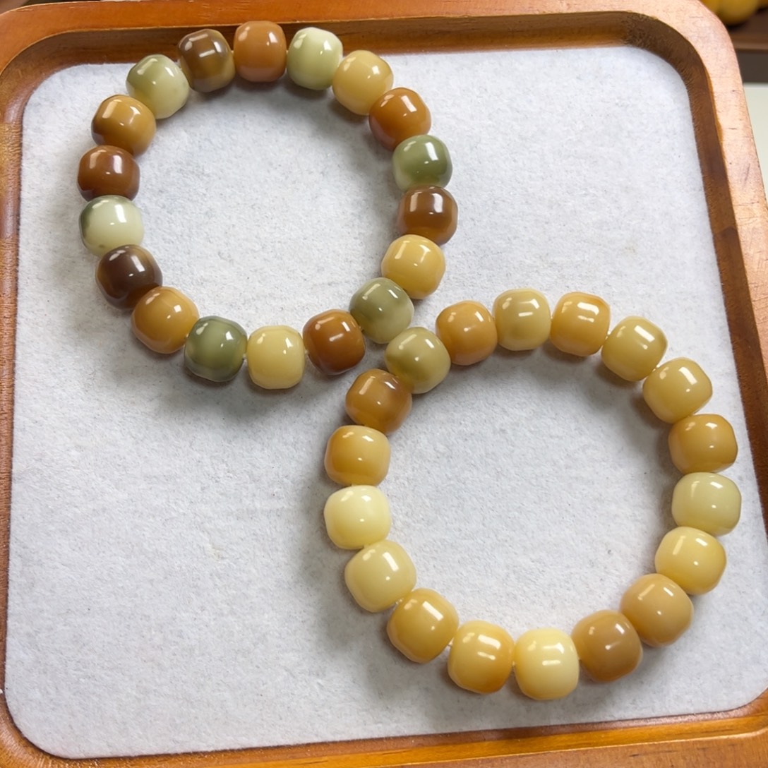 香***香菩提根/象牙果手串新款13