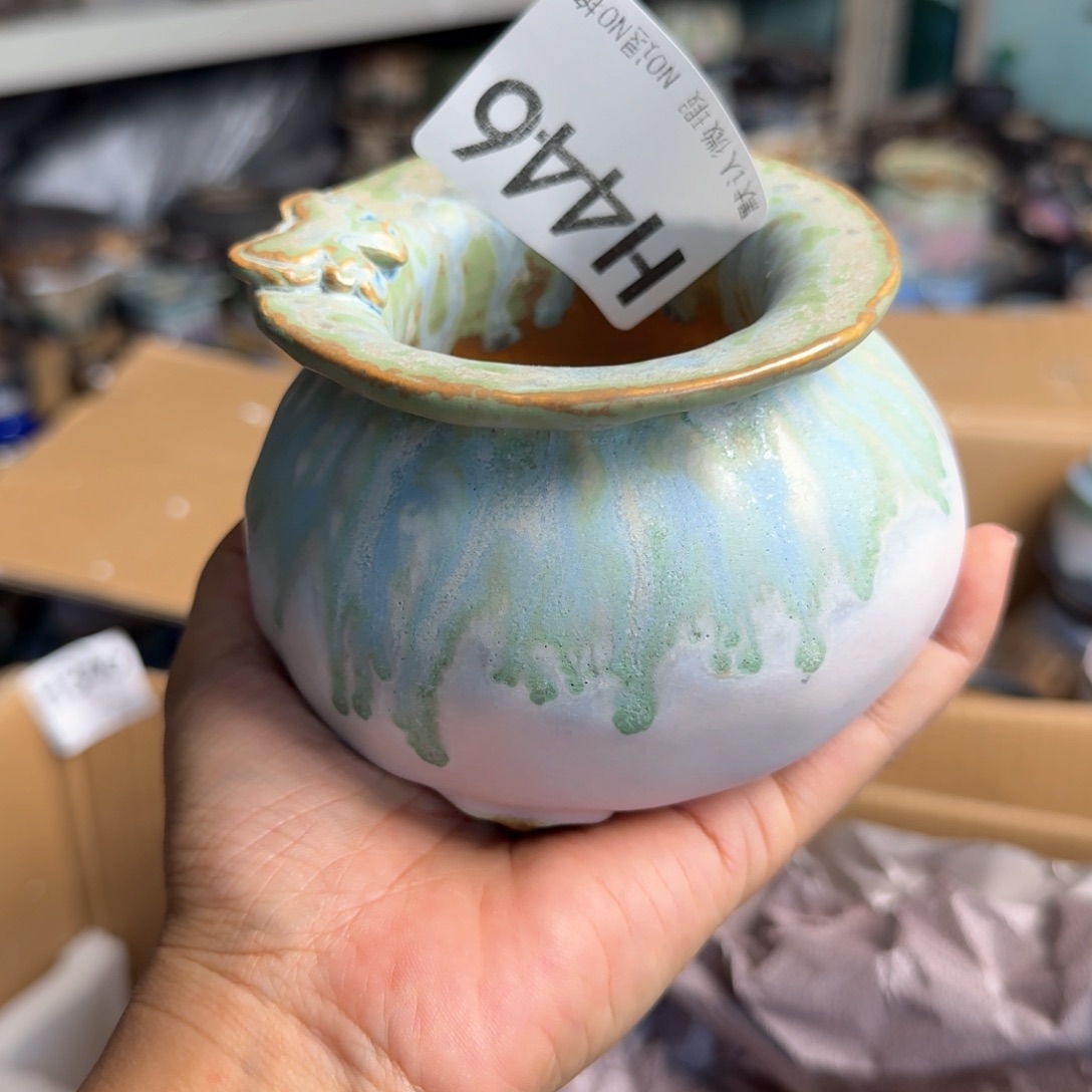 重庆小小燕子欢迎大家。446