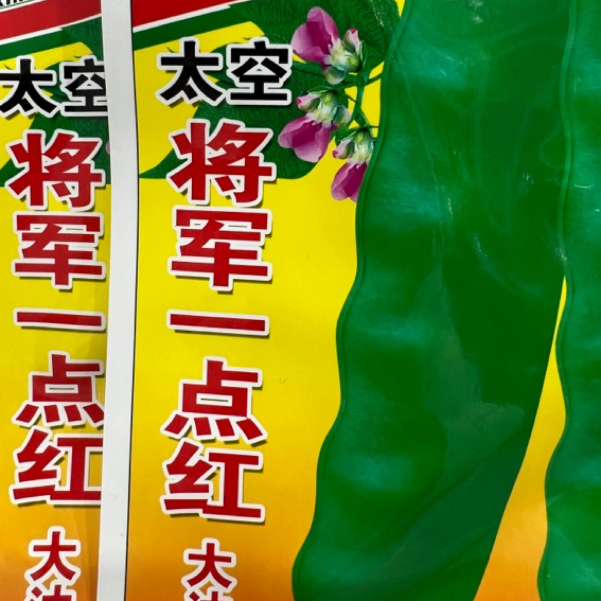 太空将军一点红油豆种子2袋