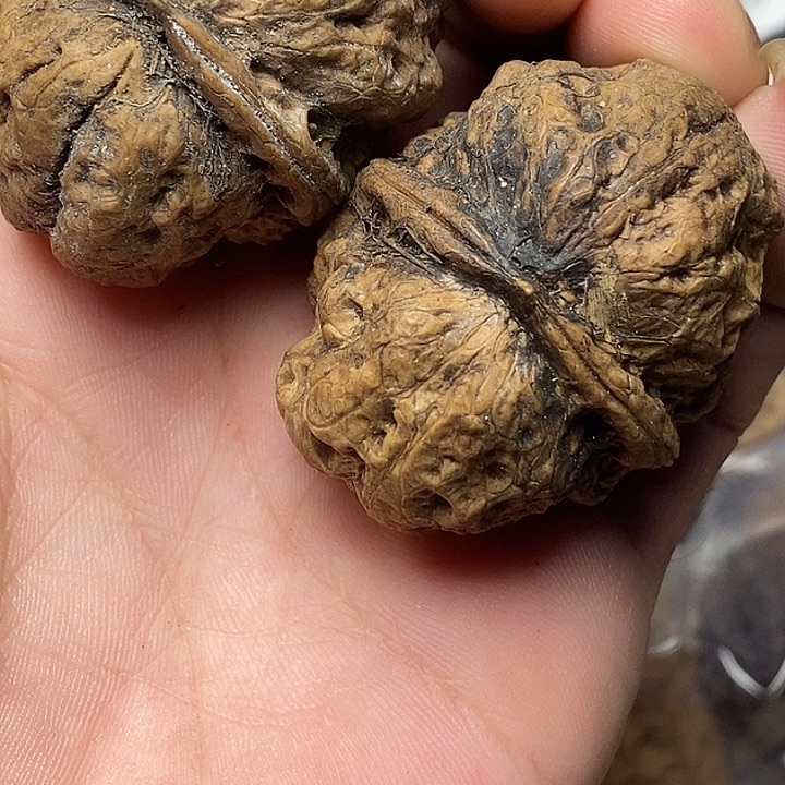 文玩核桃把件志成云铁文玩30