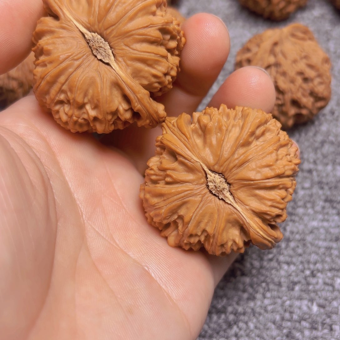 核桃把件边45肚44全品白狮子