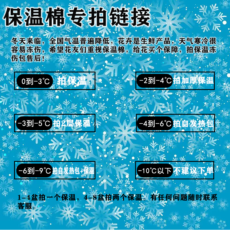 花卉保温层零度以下地区必拍保温拍保温冻伤包售后