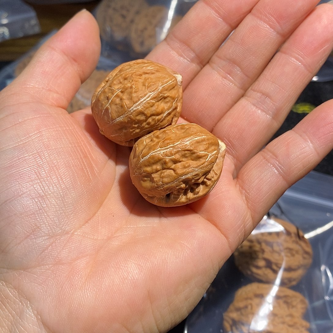 文玩核桃吊坠山地野果子5.5