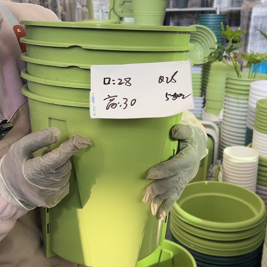 瑕疵Q28#果绿色5个无托