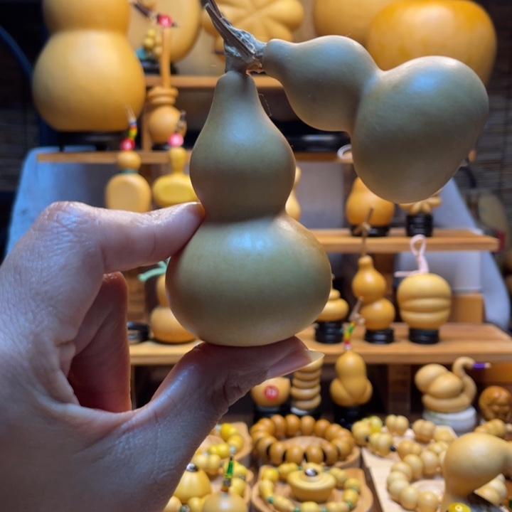 *****天然葫芦自然生长