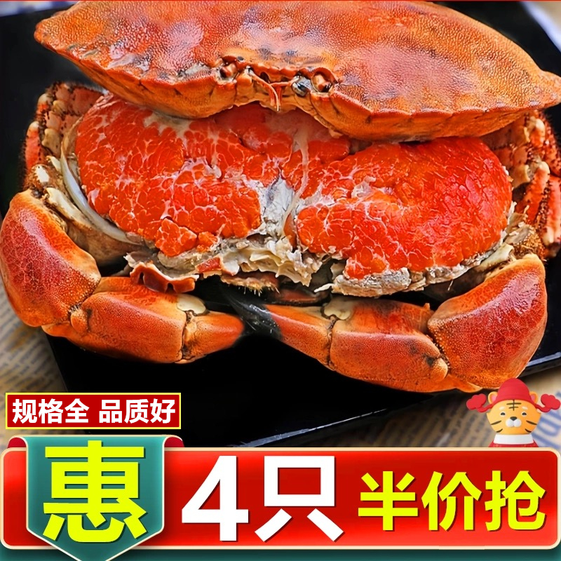 超大面包蟹母帝王蟹鲜活熟冻大螃蟹海蟹新鲜海鲜水产黄金蟹珍宝蟹
