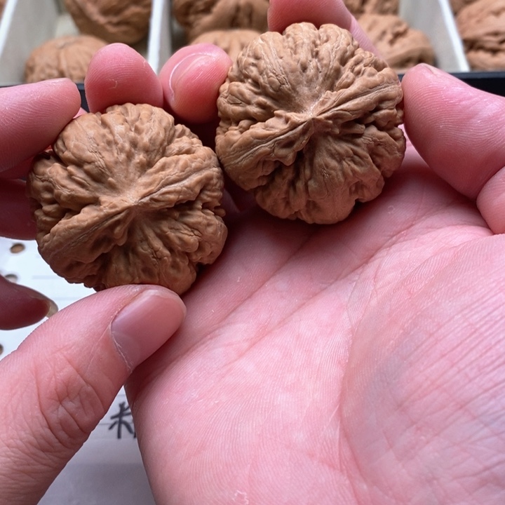 把件文玩核桃春***里