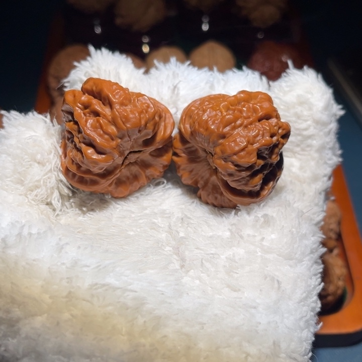 努***普42蛤蟆核桃核桃核桃