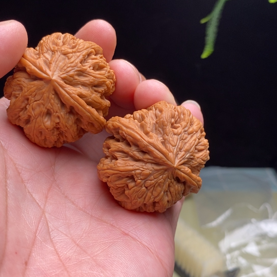 无***聊吊坠桃核41全品大粗筋