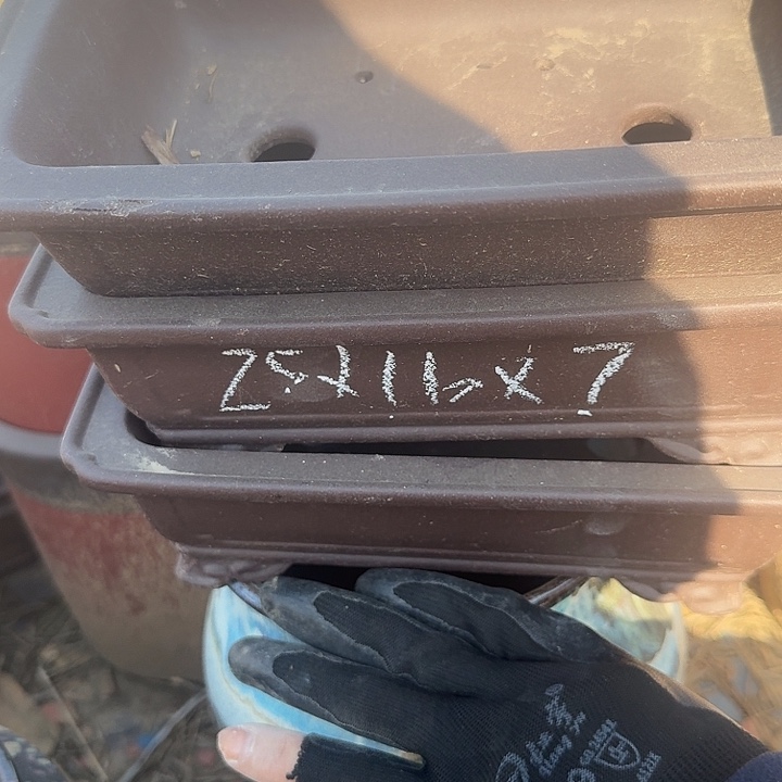 紫砂紫砂陶瓷杯中精品艺术珍品