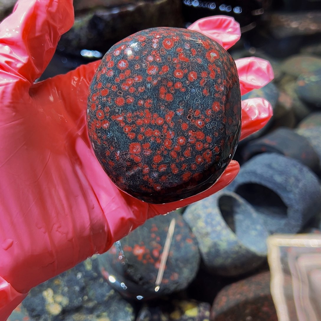 梅花玉鱼缸石茶周边不退不换