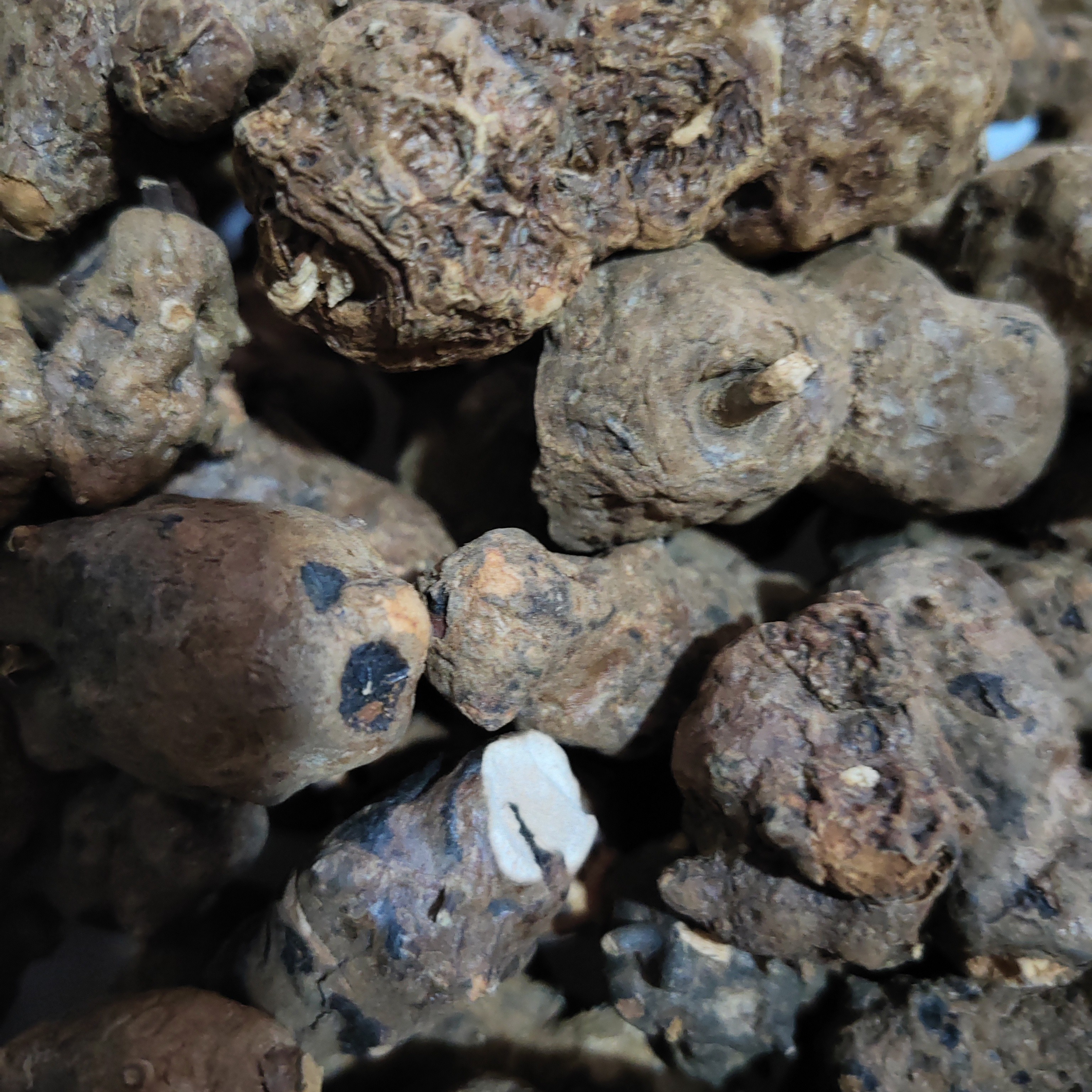 野生土茯苓，（硬碰子根），农户自挖自晒纯天然