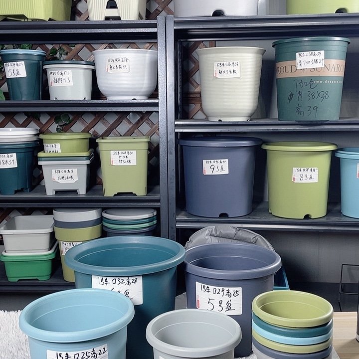 瑕疵四季盆4号灰白色发12个