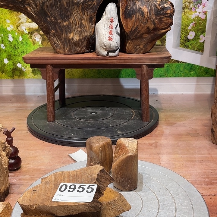 用***5木每一个人都是一28