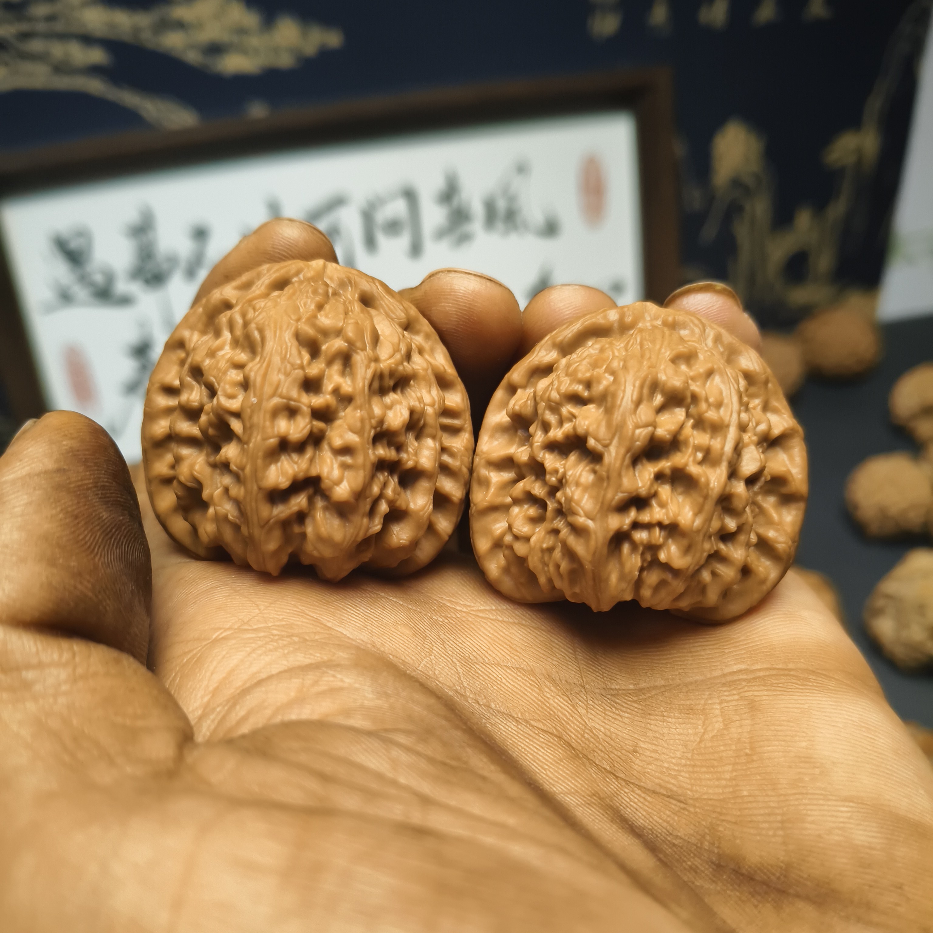 文玩核桃白狮子一物一图