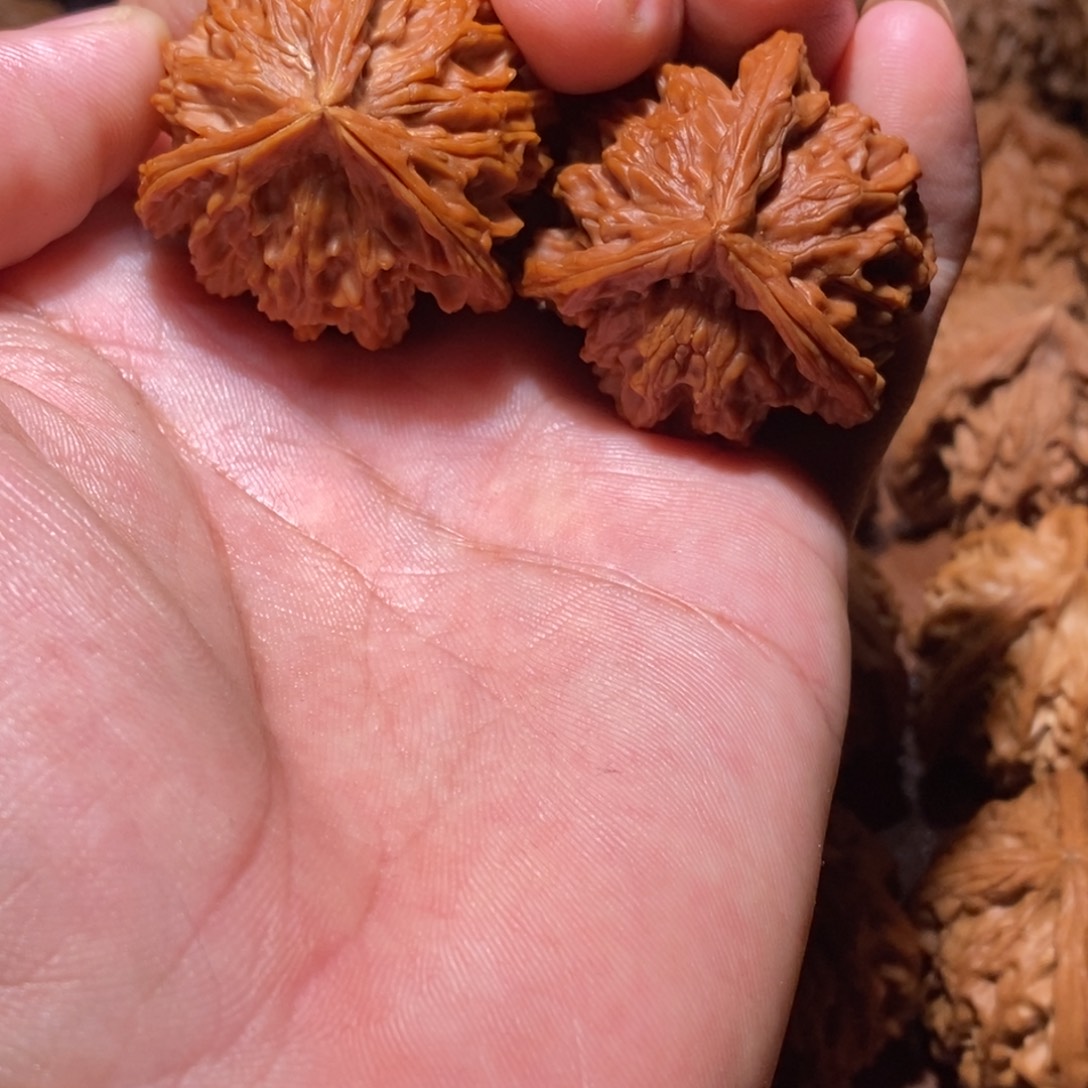 翡***哥盘山三棱文王核桃手把件