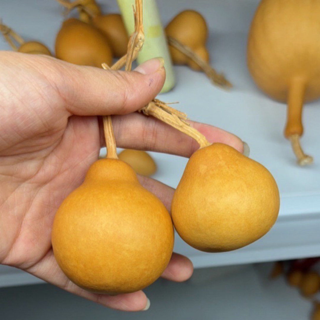 直播间2号链接   文玩葫芦（龙头不包） 