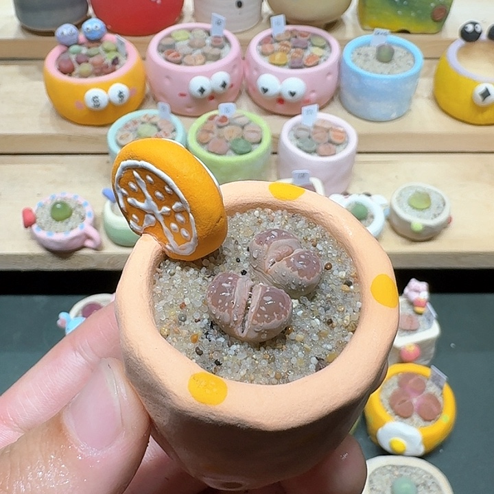 红陶蘑菇702橄榄