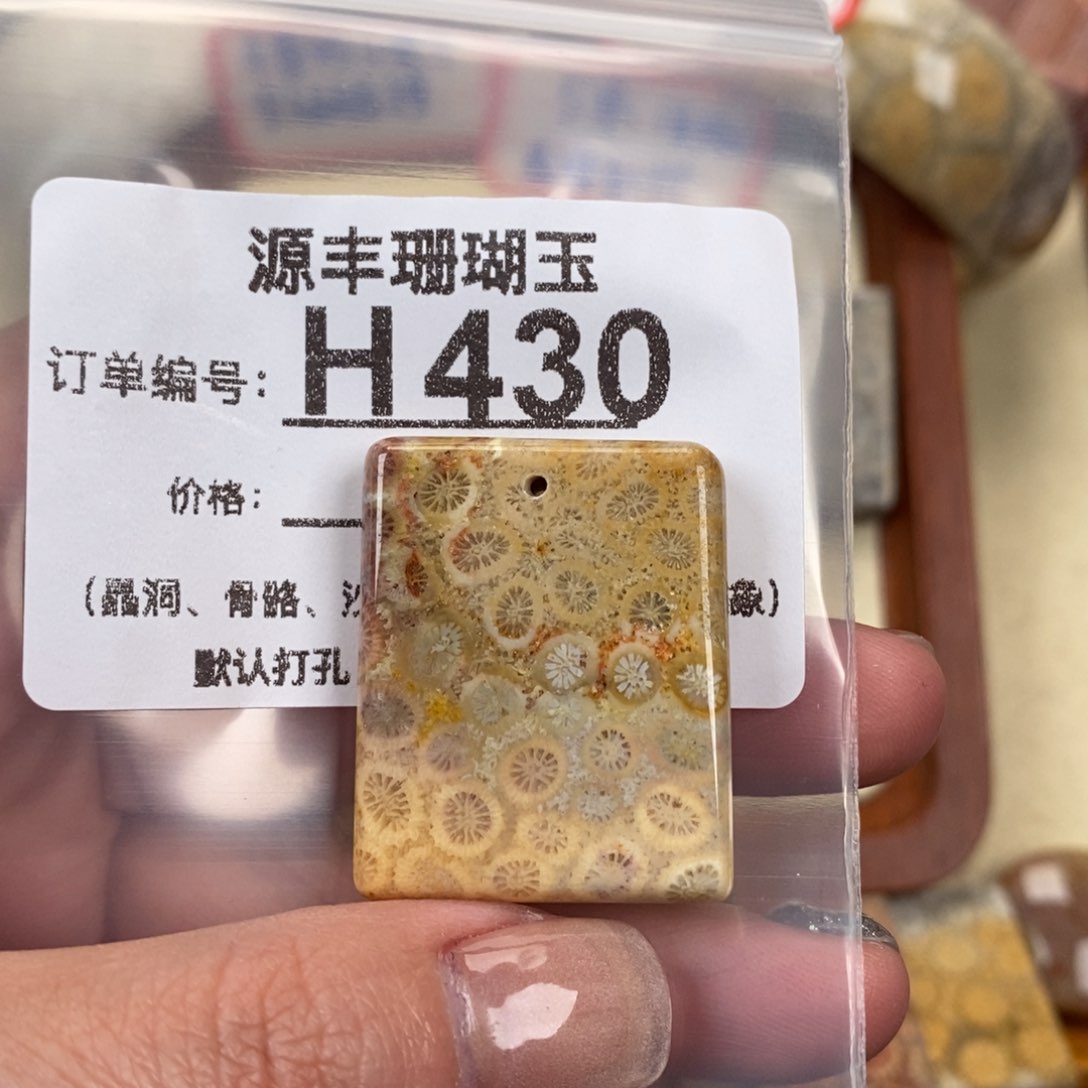 硅化玉颈饰未镶嵌袋**片
