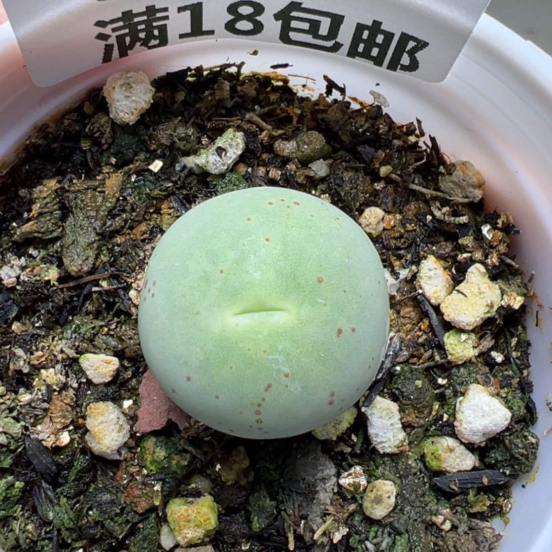 【闪购商品】984……