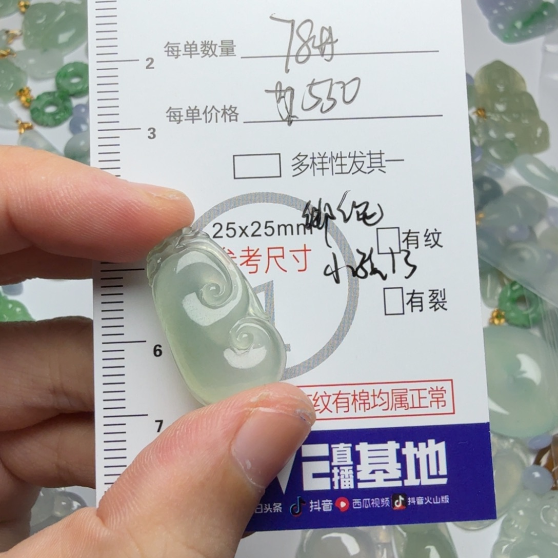 小***熙翡翠未镶嵌颈饰78